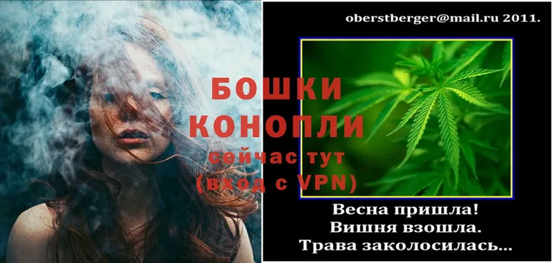 Шишки марихуана SATIVA & INDICA  купить  сайты  Саров 